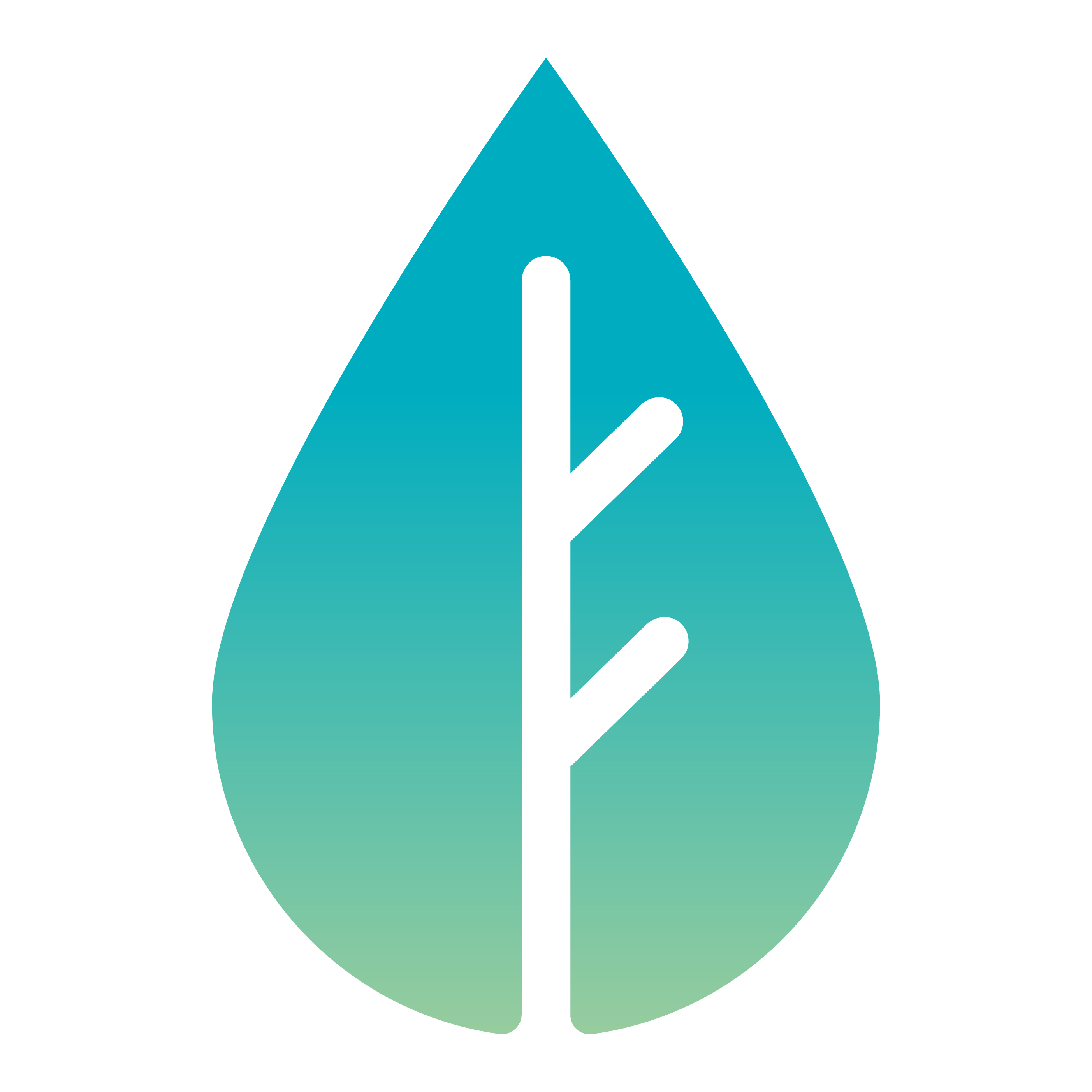 Adina logo