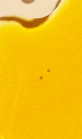 Formulation Image
